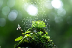 La transizione verde: la strategia europea per la chimica sostenibile 
