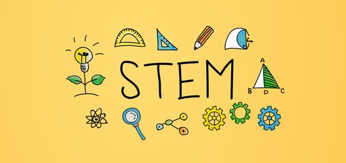 STEM E GENDER